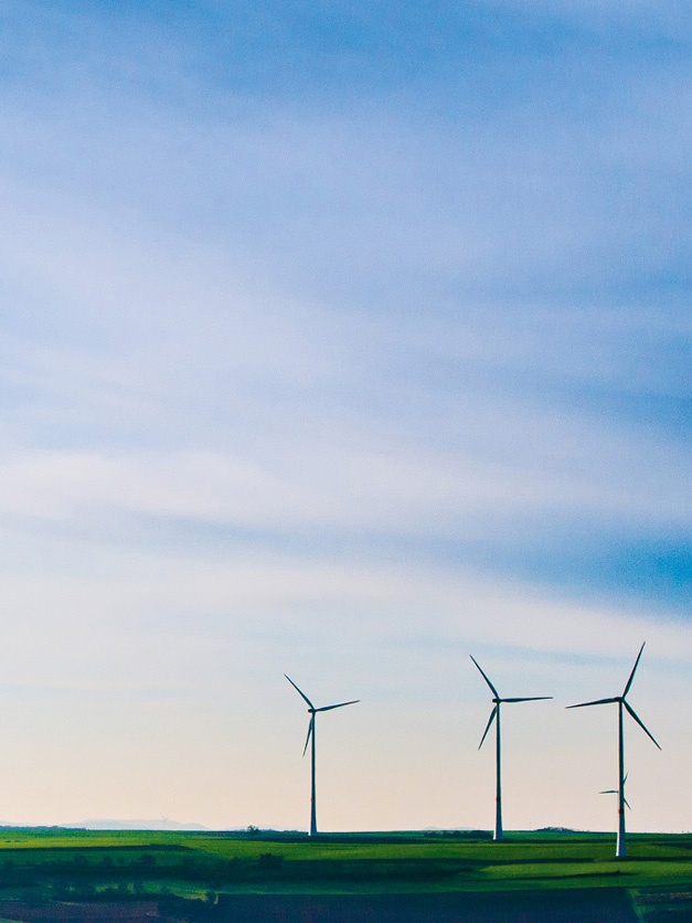 Иллюстрация к книге — Что такое лагом (Шведские рецепты счастливой жизни) [i_133.jpg]