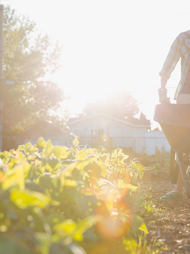 Иллюстрация к книге — Что такое лагом (Шведские рецепты счастливой жизни) [i_146.jpg]