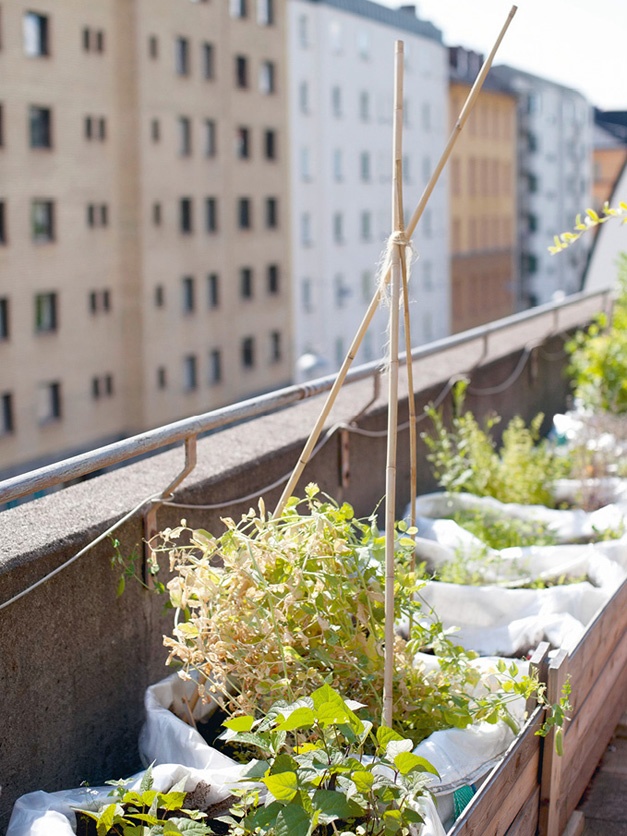 Иллюстрация к книге — Что такое лагом (Шведские рецепты счастливой жизни) [i_148.jpg]