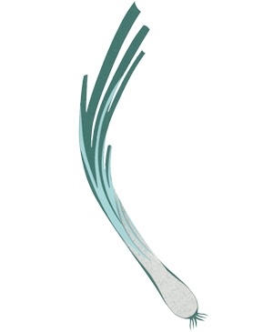 Иллюстрация к книге — Что такое лагом (Шведские рецепты счастливой жизни) [i_149.jpg]