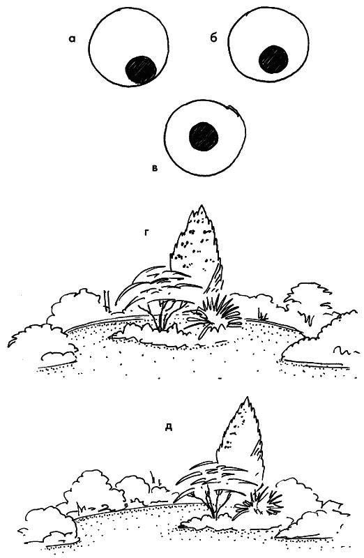 Иллюстрация к книге — 10 этапов проектирования малого сада [autogen_ebook_id37.jpg]