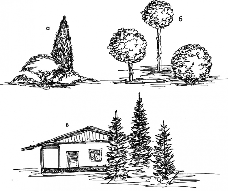 Иллюстрация к книге — 10 этапов проектирования малого сада [autogen_ebook_id41.jpg]