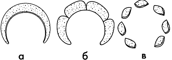 Иллюстрация к книге — 10 этапов проектирования малого сада [autogen_ebook_id8.jpg]