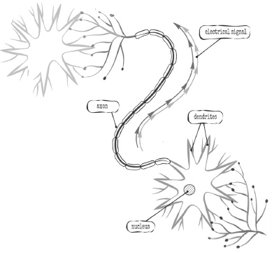 Иллюстрация к книге — Навязчивые мысли, страхи и ВСД. Как вернуть полноценную жизнь [i_001.jpg]
