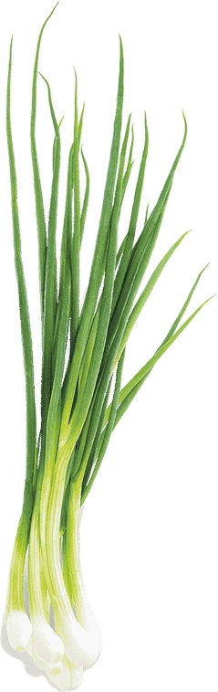 Иллюстрация к книге — Не надо думать, надо кушать! [i_007.jpg]