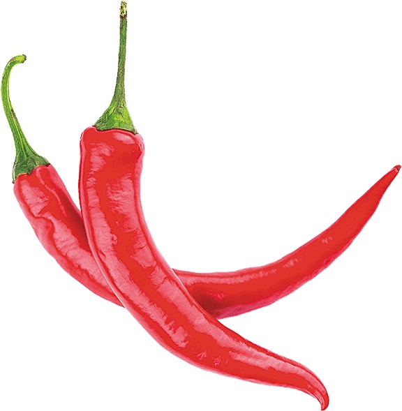 Иллюстрация к книге — Не надо думать, надо кушать! [i_019.jpg]