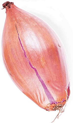 Иллюстрация к книге — Не надо думать, надо кушать! [i_024.jpg]