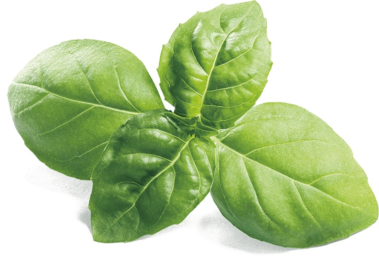 Иллюстрация к книге — Не надо думать, надо кушать! [i_031.jpg]