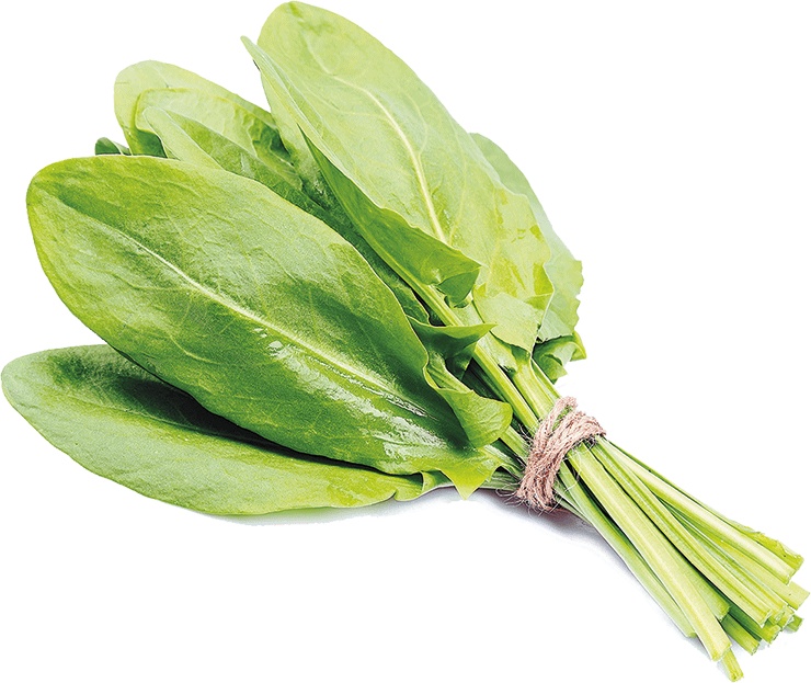 Иллюстрация к книге — Не надо думать, надо кушать! [i_064.jpg]