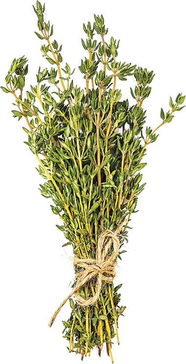 Иллюстрация к книге — Не надо думать, надо кушать! [i_081.jpg]