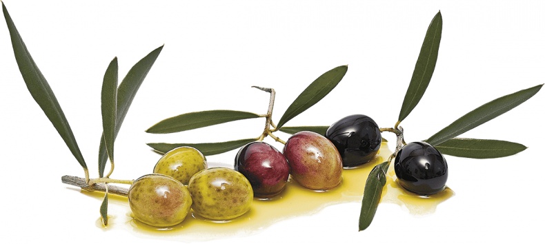 Иллюстрация к книге — Не надо думать, надо кушать! [i_088.jpg]