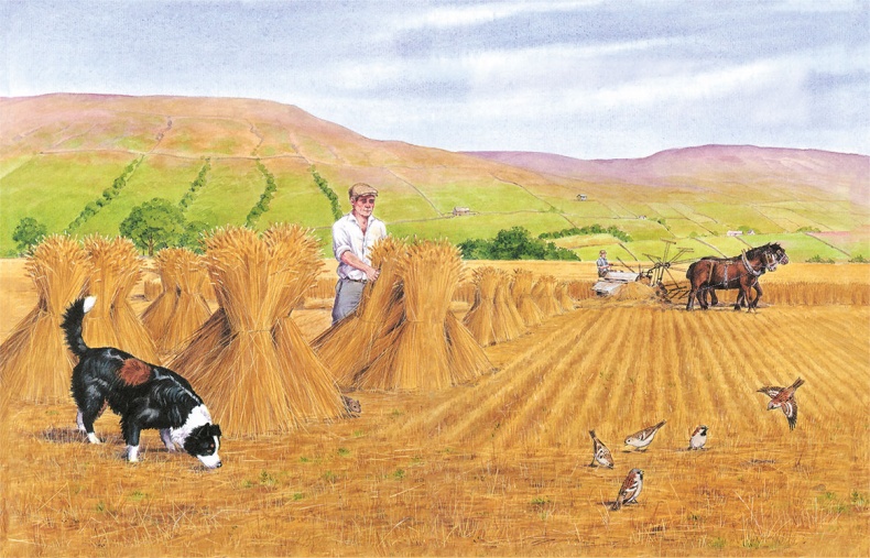 Иллюстрация к книге — Детям. Рассказы о животных [i_026.jpg]