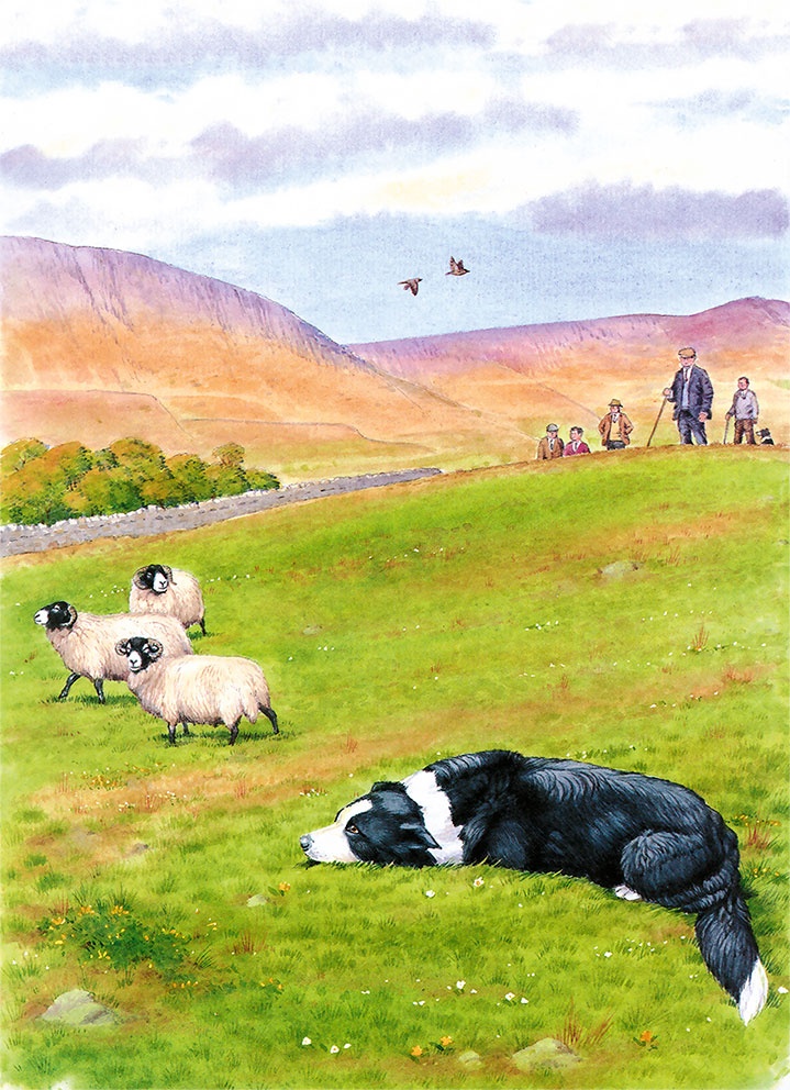 Иллюстрация к книге — Детям. Рассказы о животных [i_033.jpg]