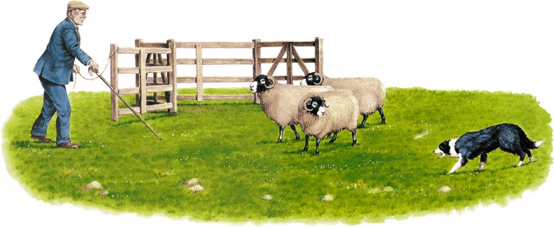 Иллюстрация к книге — Детям. Рассказы о животных [i_034.jpg]