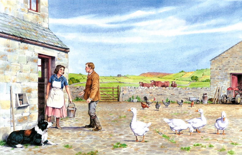 Иллюстрация к книге — Детям. Рассказы о животных [i_039.jpg]