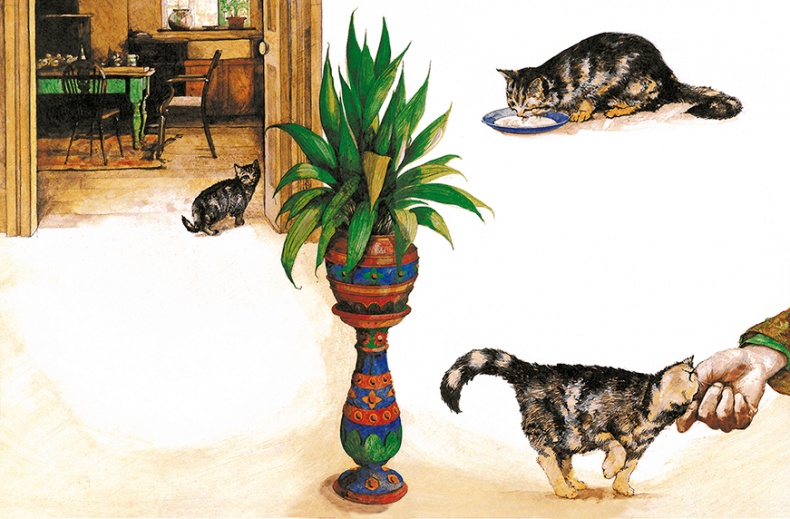 Иллюстрация к книге — Детям. Рассказы о животных [i_044.jpg]