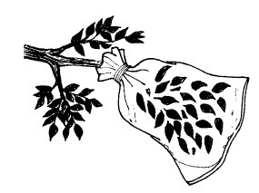 Иллюстрация к книге — Выживание везде и всегда [i_011.jpg]