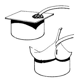 Иллюстрация к книге — Выживание везде и всегда [i_015.jpg]