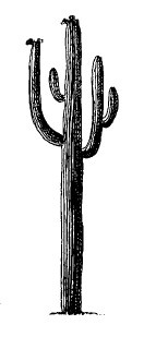 Иллюстрация к книге — Выживание везде и всегда [i_018.jpg]