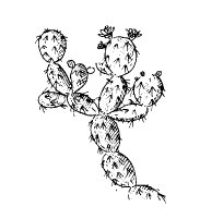 Иллюстрация к книге — Выживание везде и всегда [i_019.jpg]