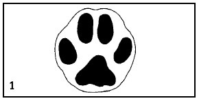 Иллюстрация к книге — Выживание везде и всегда [i_037.jpg]