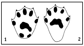 Иллюстрация к книге — Выживание везде и всегда [i_042.jpg]