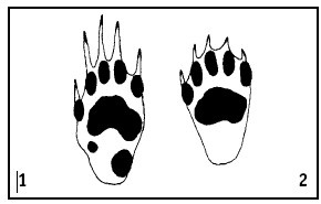 Иллюстрация к книге — Выживание везде и всегда [i_043.jpg]