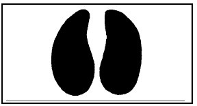 Иллюстрация к книге — Выживание везде и всегда [i_045.jpg]