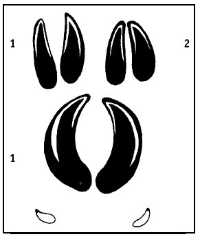 Иллюстрация к книге — Выживание везде и всегда [i_047.jpg]