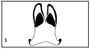 Иллюстрация к книге — Выживание везде и всегда [i_048.jpg]