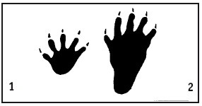 Иллюстрация к книге — Выживание везде и всегда [i_055.jpg]