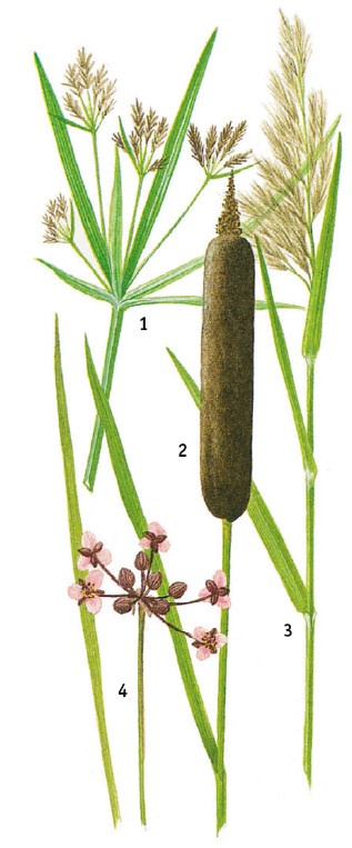 Иллюстрация к книге — Выживание везде и всегда [i_064.jpg]