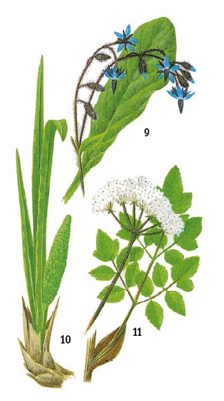 Иллюстрация к книге — Выживание везде и всегда [i_067.jpg]