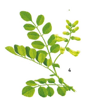 Иллюстрация к книге — Выживание везде и всегда [i_069.jpg]