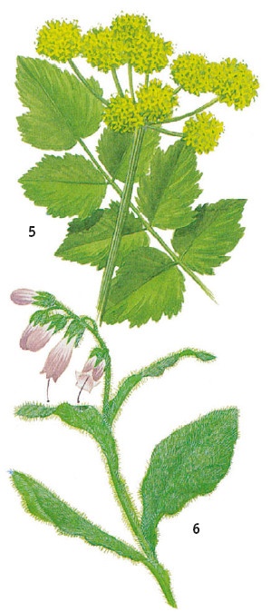 Иллюстрация к книге — Выживание везде и всегда [i_070.jpg]