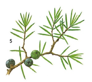 Иллюстрация к книге — Выживание везде и всегда [i_086.jpg]