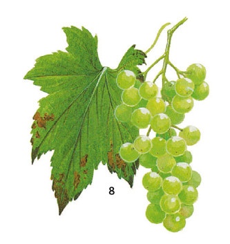 Иллюстрация к книге — Выживание везде и всегда [i_089.jpg]