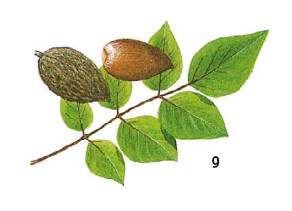 Иллюстрация к книге — Выживание везде и всегда [i_098.jpg]