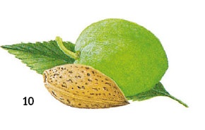 Иллюстрация к книге — Выживание везде и всегда [i_099.jpg]