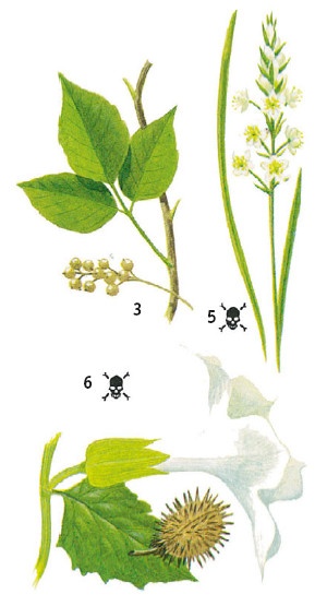 Иллюстрация к книге — Выживание везде и всегда [i_101.jpg]