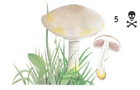 Иллюстрация к книге — Выживание везде и всегда [i_118.jpg]