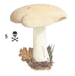 Иллюстрация к книге — Выживание везде и всегда [i_127.jpg]