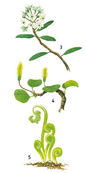 Иллюстрация к книге — Выживание везде и всегда [i_132.jpg]