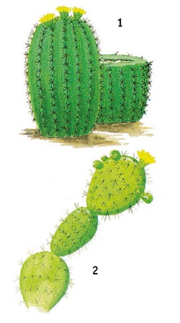 Иллюстрация к книге — Выживание везде и всегда [i_135.jpg]