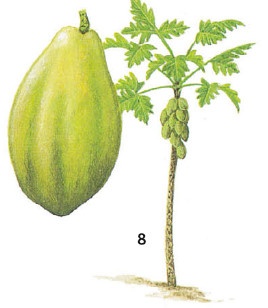 Иллюстрация к книге — Выживание везде и всегда [i_142.jpg]