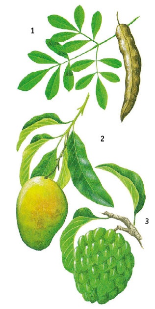 Иллюстрация к книге — Выживание везде и всегда [i_143.jpg]