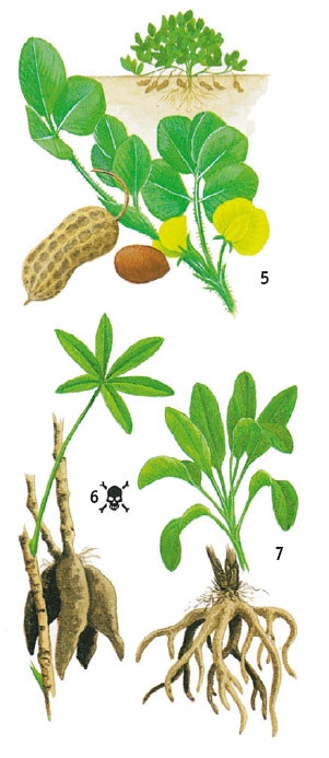 Иллюстрация к книге — Выживание везде и всегда [i_149.jpg]