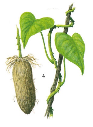 Иллюстрация к книге — Выживание везде и всегда [i_152.jpg]