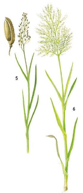 Иллюстрация к книге — Выживание везде и всегда [i_153.jpg]