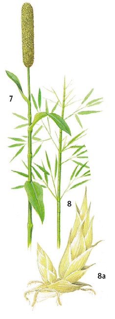 Иллюстрация к книге — Выживание везде и всегда [i_154.jpg]